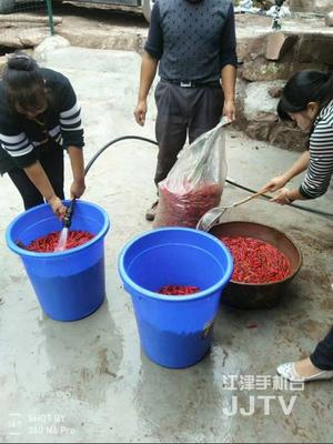 身手不凡的'四屏親戚' 科技助力初級農產品收購，精準幫扶貧困戶增收