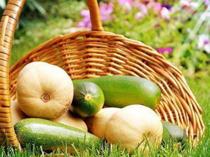 立足田間地頭，胸懷星辰大海 農(nóng)產(chǎn)品電商創(chuàng)業(yè)者的心態(tài)修煉與收購(gòu)之道